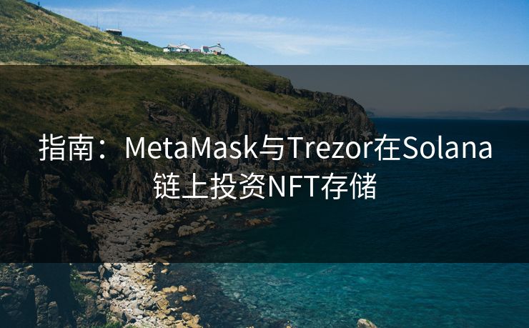 指南：MetaMask与Trezor在Solana链上投资NFT存储