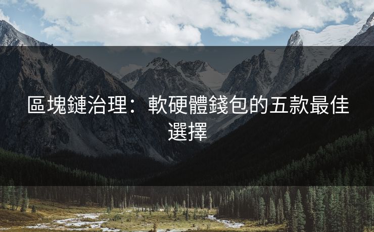 區塊鏈治理：軟硬體錢包的五款最佳選擇